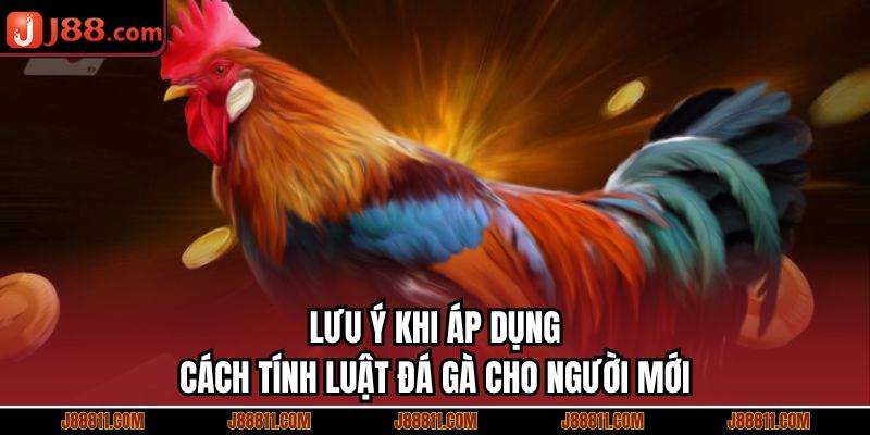 Lưu ý khi áp dụng cách tính luật đá gà cho người mới