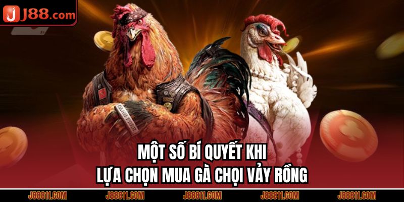 Một số bí quyết khi lựa chọn mua gà chọi vảy rồng