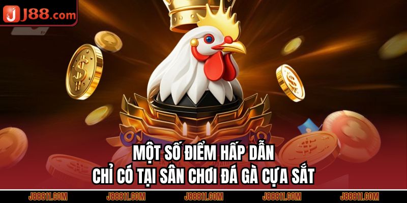 Một số điểm hấp dẫn chỉ có tại sân chơi đá gà cựa sắt